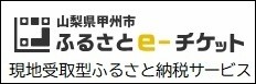 ふるさとe-チケット バナー