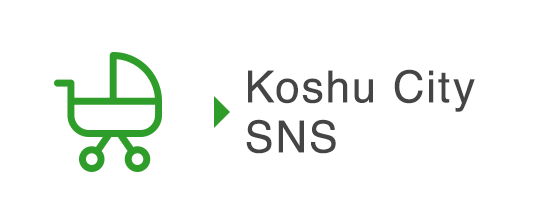 Koshu city SNS