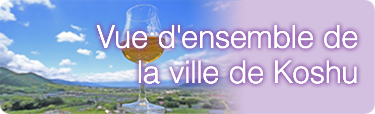 Vue d’ensemble de la ville de Koshu