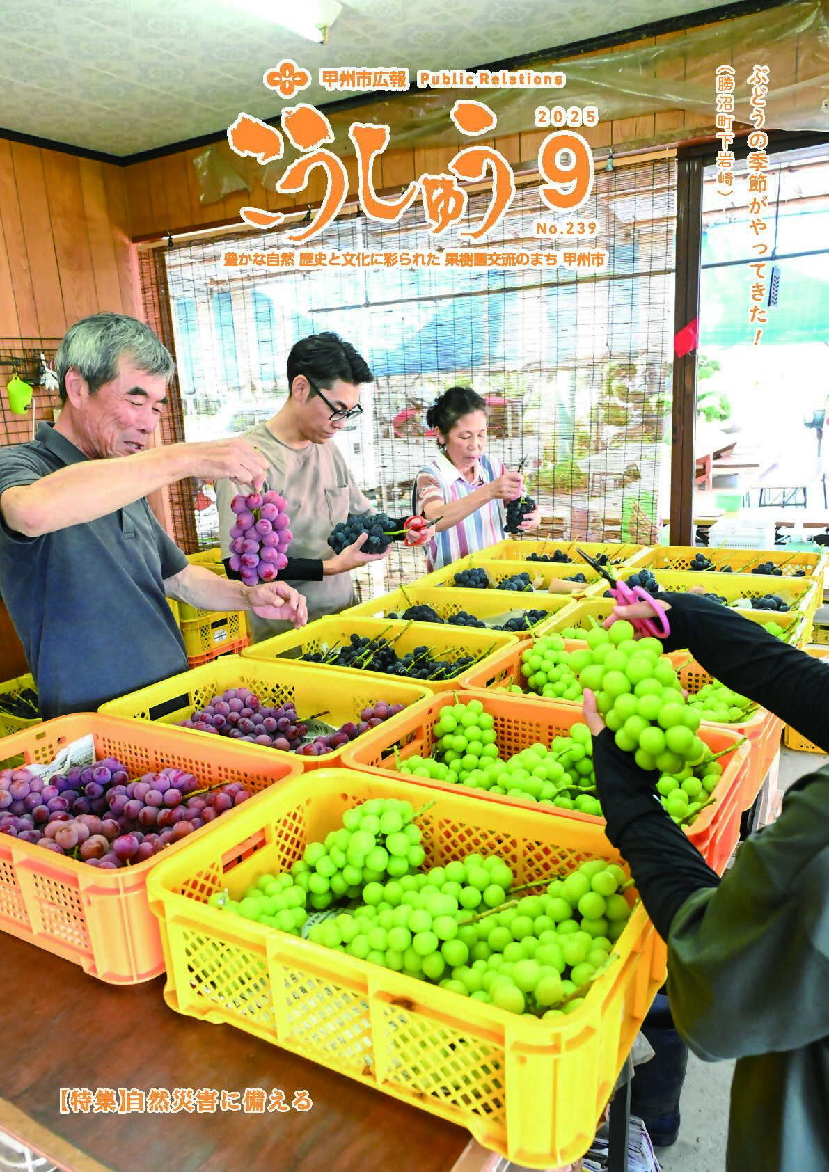 広報こうしゅう9月号表紙