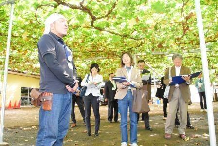 世界農業遺産等専門家会議 現地調査