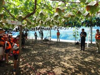 サマーチャレンジ２０１６ 川ある～き【日川】