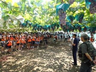 サマーチャレンジ２０１６ 川ある～き【日川】