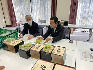 シャインマスカット長期保存実証実験の確認