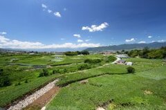 市長におまかせ