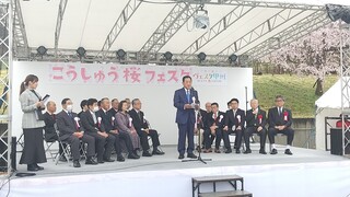 3.25-1桜フェス
