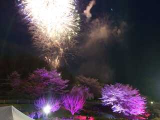 3.25-4桜フェス 3.25-4桜フェス