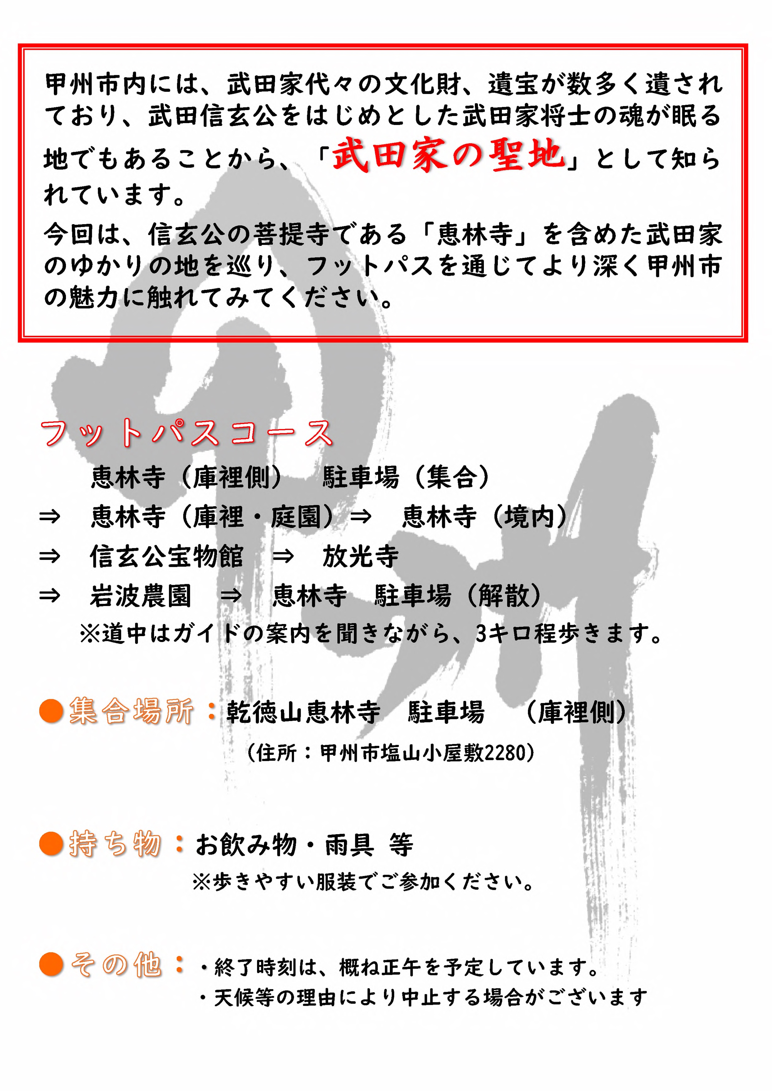 武田の聖地フットパスチラシ
