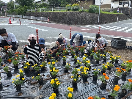花回廊2