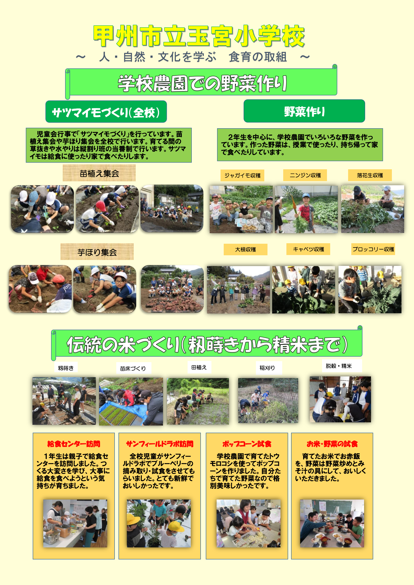 R6玉宮小