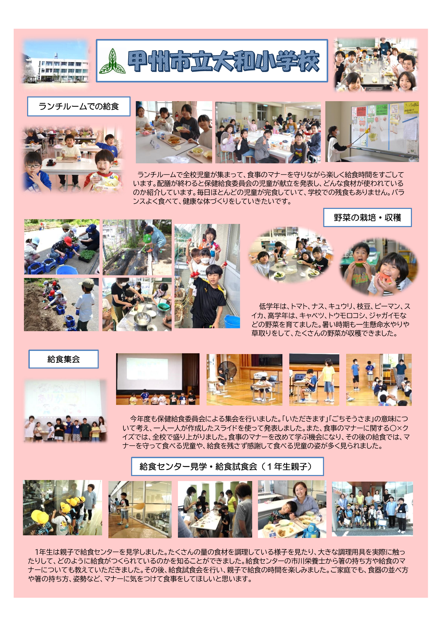 R6大和小