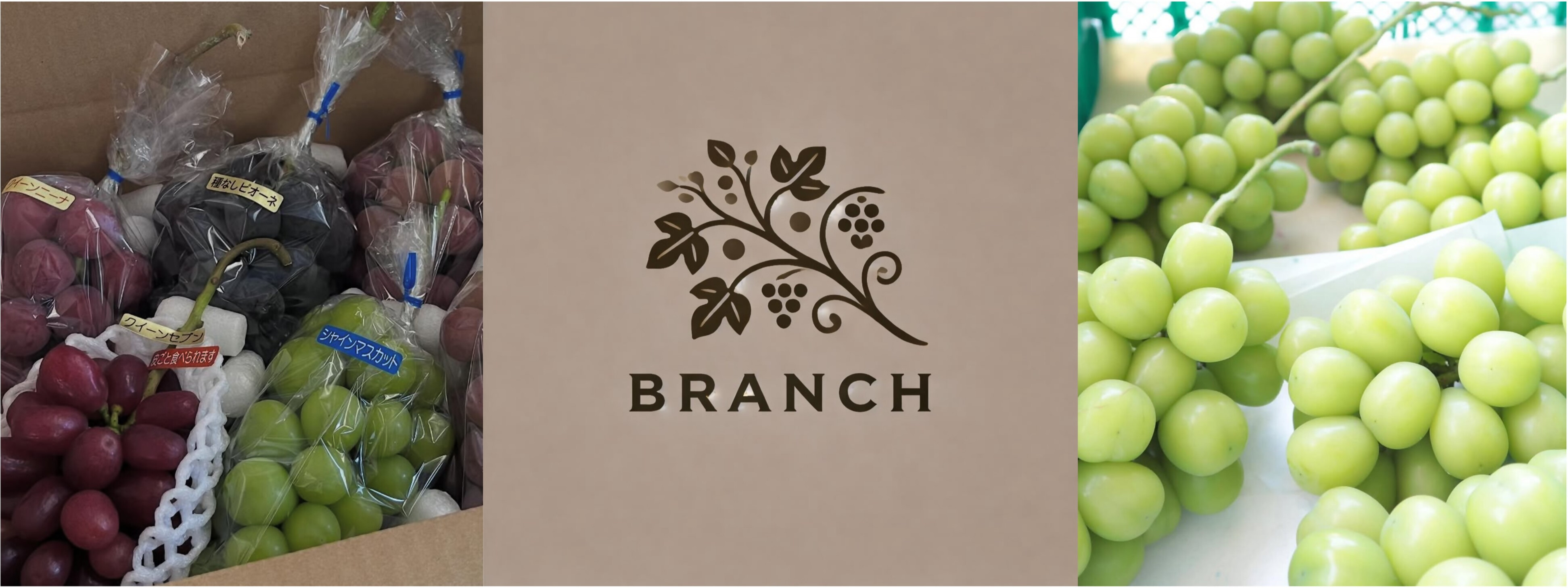 原稿画像_brunch(OPSWAT無害化済) brunch