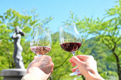 ワイングラス　新緑