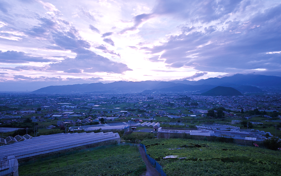 甲府盆地とぶどう畑が広がっている風景画像