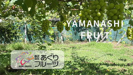 あぐりフルーツInstagramイメージ