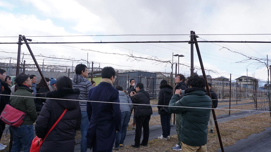 20190126_6.JPG