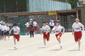 rikugi (3)