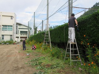 奉仕作業