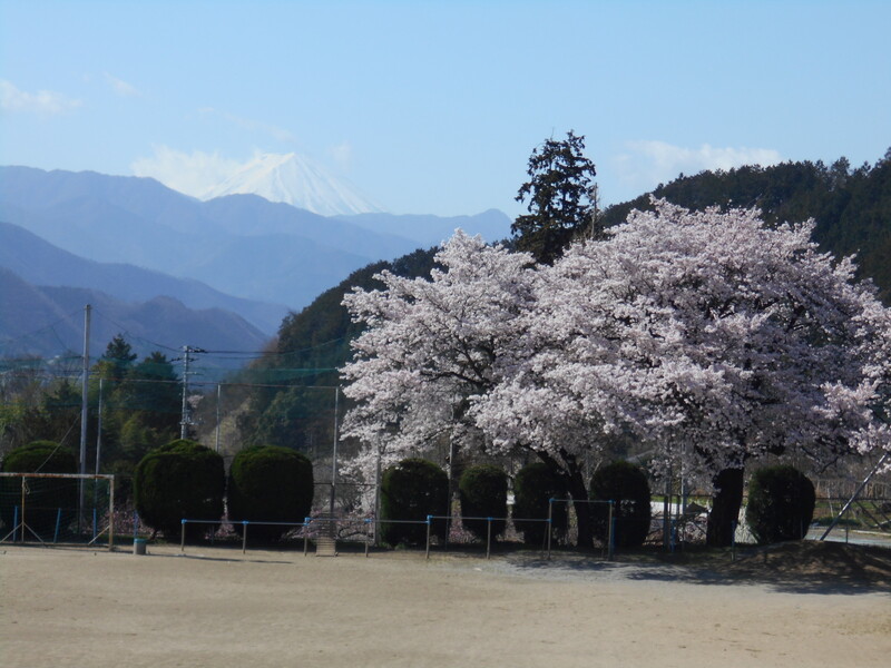 富士山と校庭